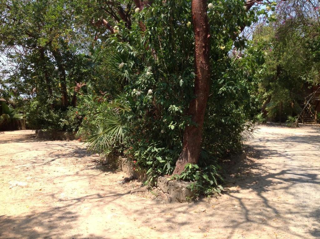 Half Moon Resort (Adults Only) West End Exterior foto